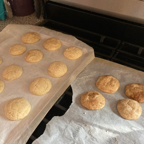 Snickerdoodles IV