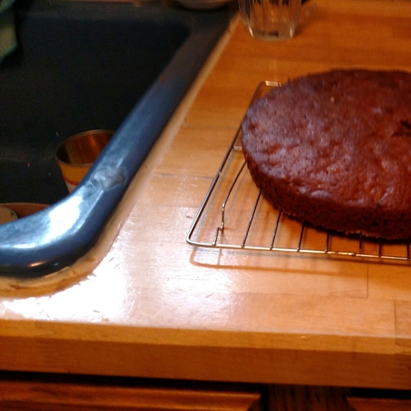 Healthier Amish Friendship Bread Starter