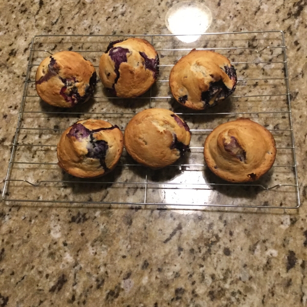 Low-Cholesterol Blueberry Muffins II