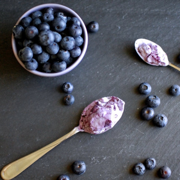 Goat Cheese-Blueberry Ice Cream