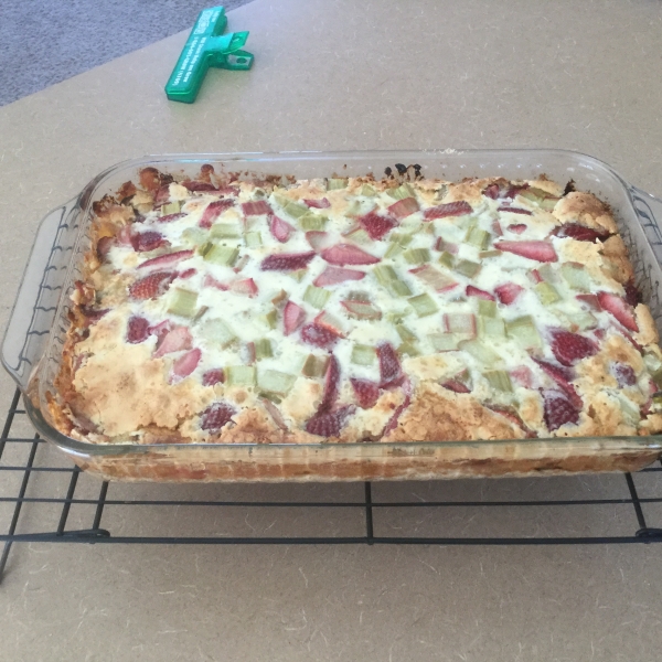 Rhubarb Custard Bars