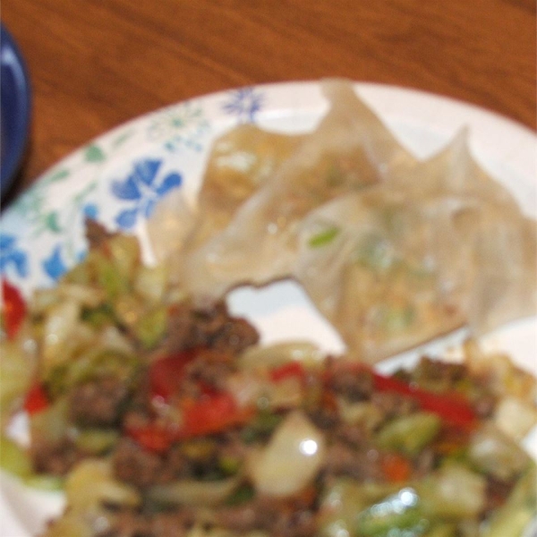 Beefy Chinese Dumplings