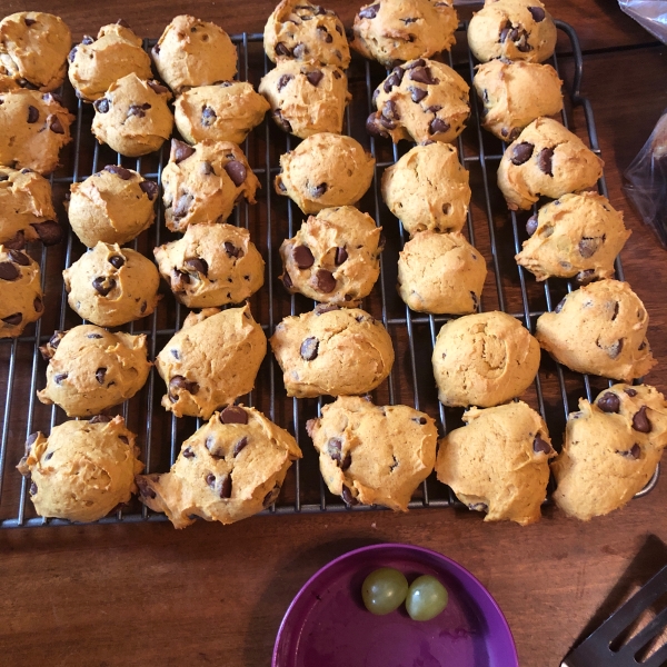 Pumpkin Chocolate Chip Cookies I