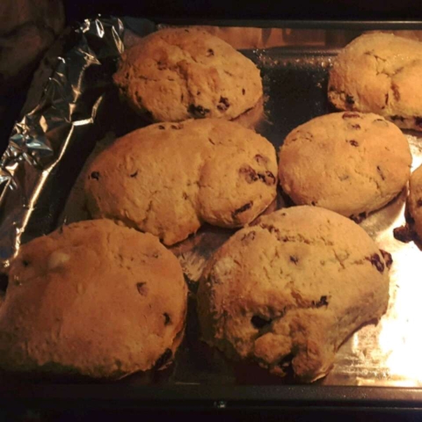 Cranberry Eggnog Cornbread Scones