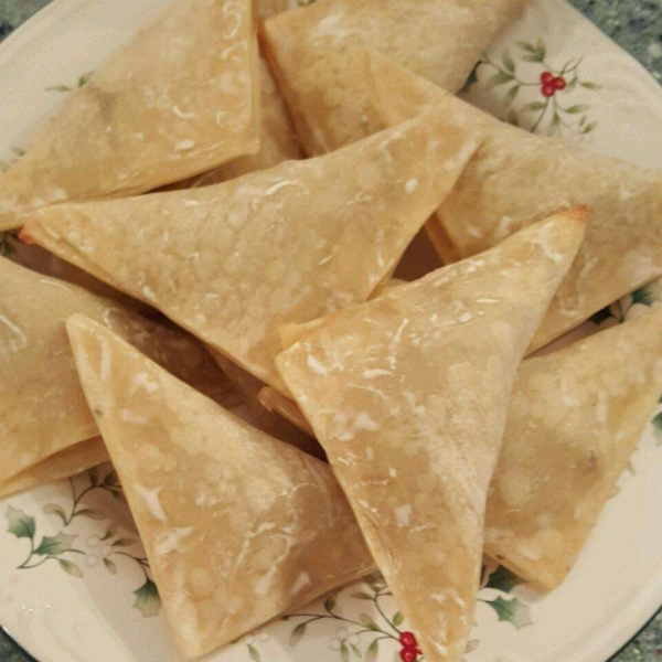 Cheeseburger Wontons