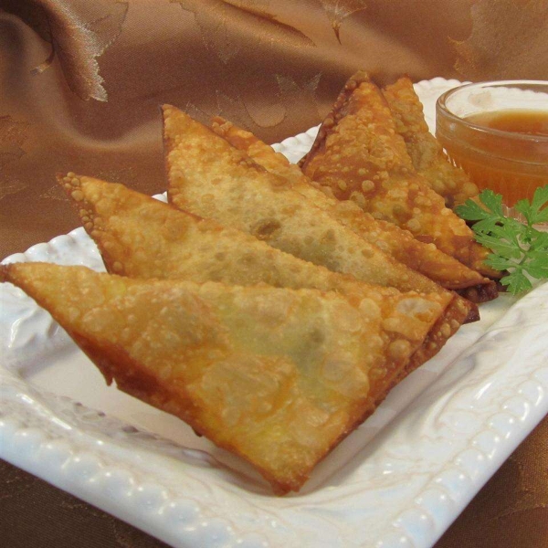 Cheeseburger Wontons