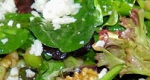 Apple-Cranberry Salad