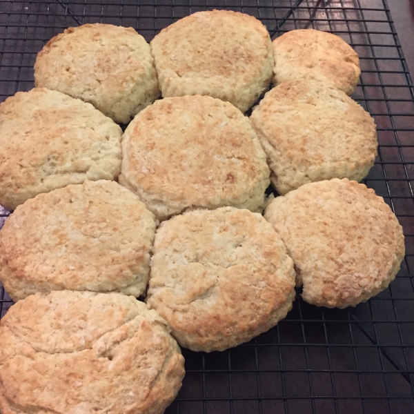 Angel Biscuits II