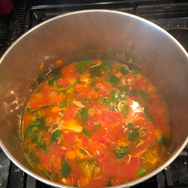 Chicken Veggie Soup II