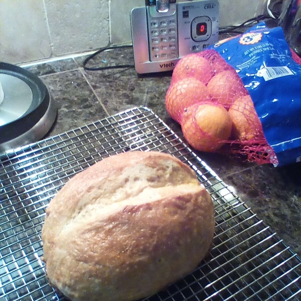 Italian Bread Using a Bread Machine