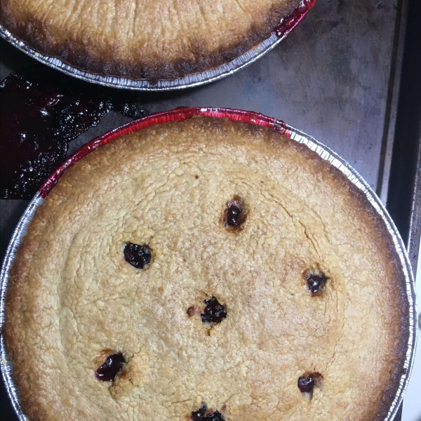 Saskatoon (Serviceberry) Rhubarb Pie