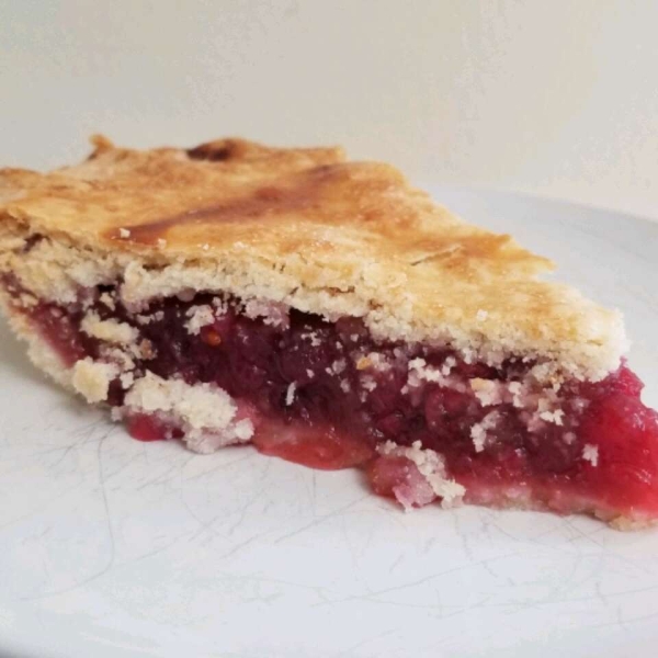 Saskatoon (Serviceberry) Rhubarb Pie