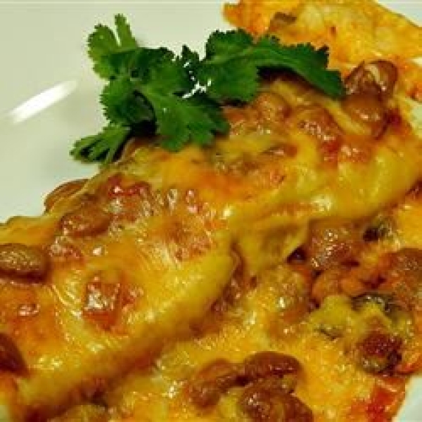 Four Seasons Enchiladas