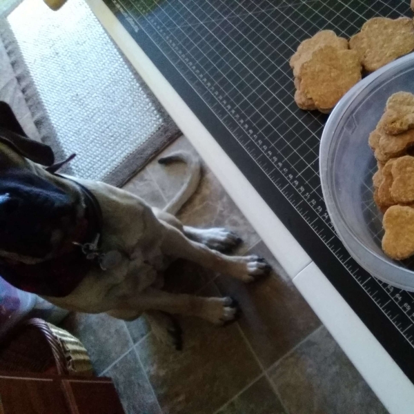Doggie Biscuits I