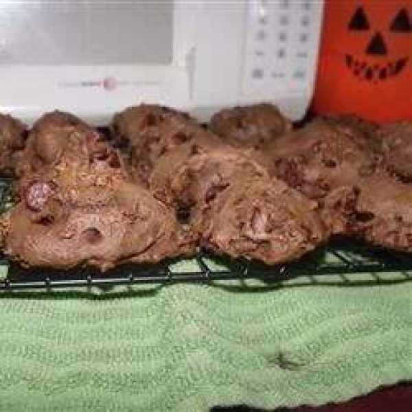 Absolutely Sinful Chocolate Chocolate Chip Cookies