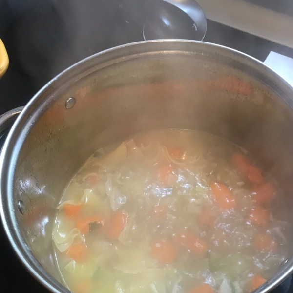 Home Made Chicken Noodle Soup!