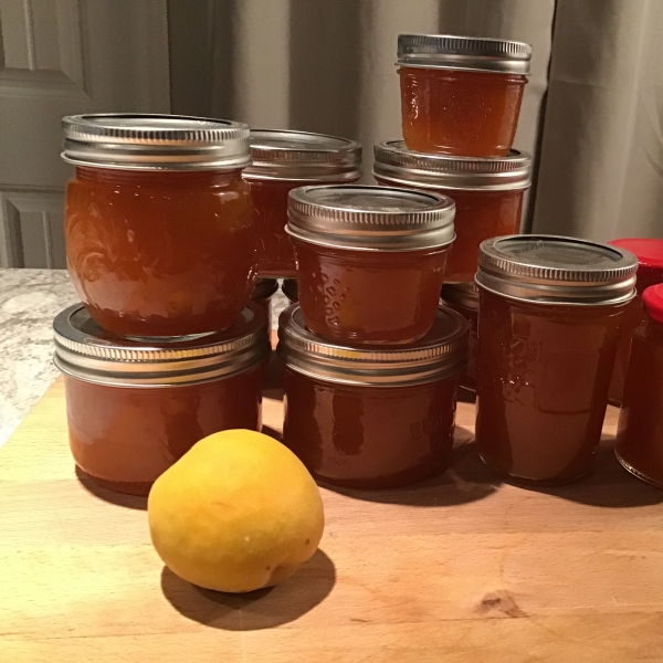 Apricot Jam