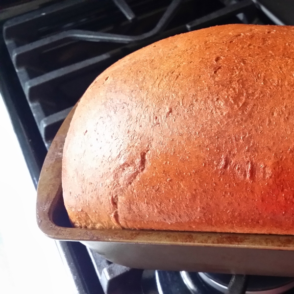 Mrs. Carrigan's Honey Wheat Bread