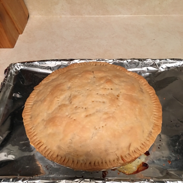 Just Another Turkey Pot Pie