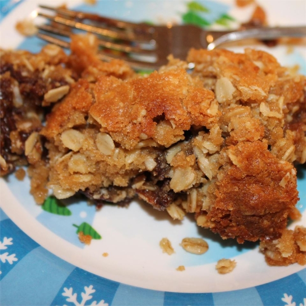 Chocolate Oatmeal Bars