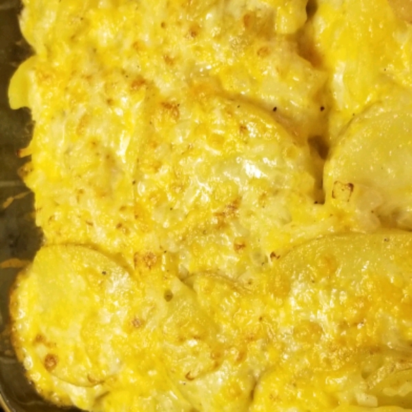 Best Instant Pot® Scalloped Potatoes