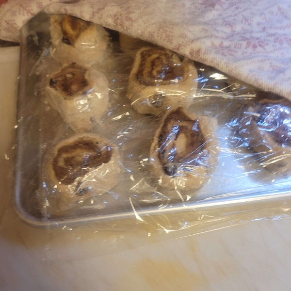 Ninety-Minute Cinnamon Rolls