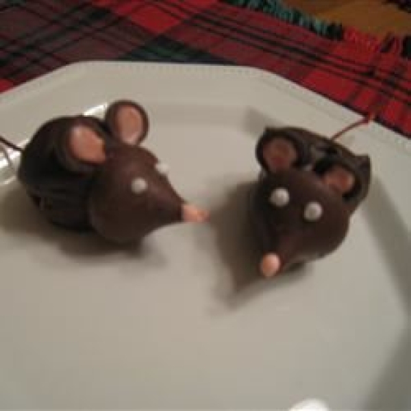 Mice