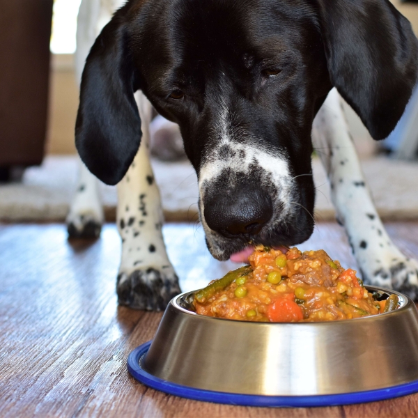 Homemade Dog Food with Meat and Vegetables