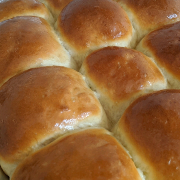Angie's Perfect Dinner Rolls