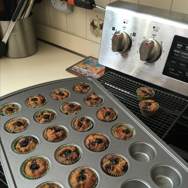 Paleo Blueberry Little Bites