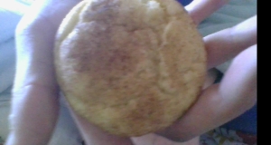 Snickerdoodles V