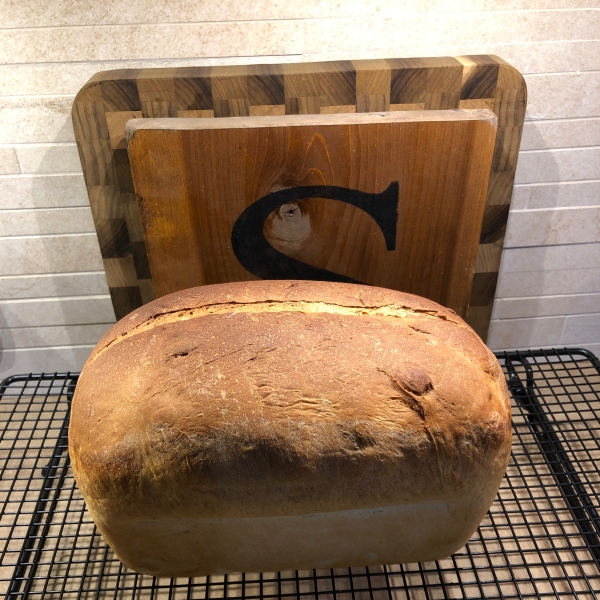 Honey Sourdough