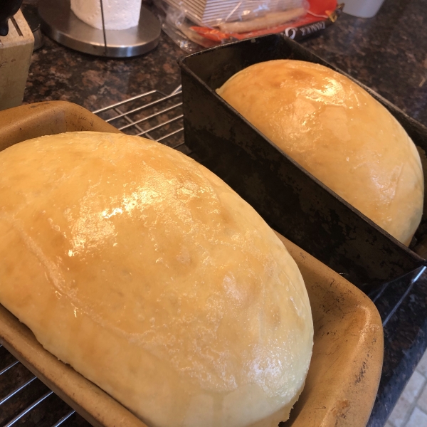 Honey Sourdough