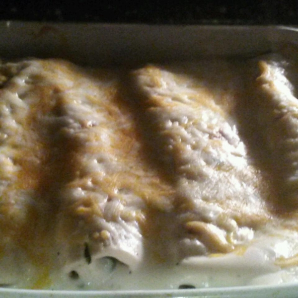 Spinach Alfredo Enchiladas