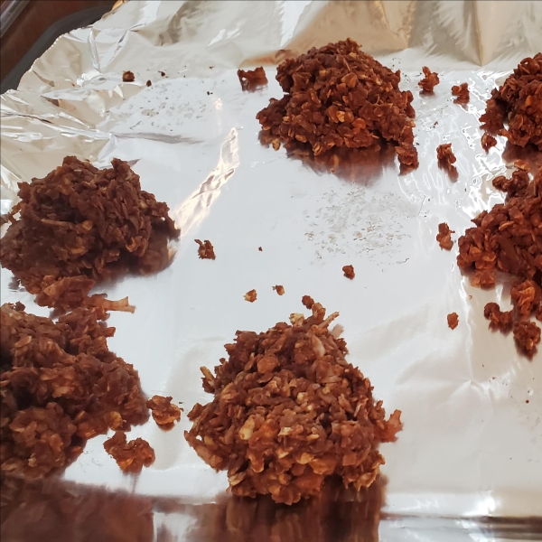 No-Bake Chocolate Coconut Cookies