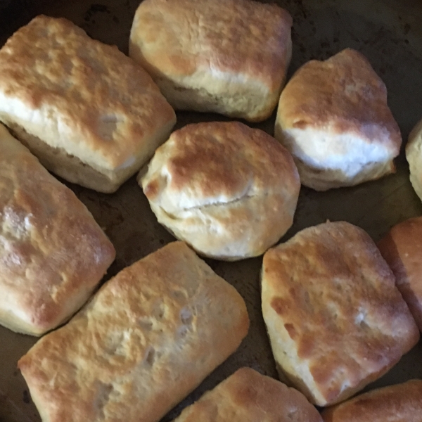 Flaky Biscuits