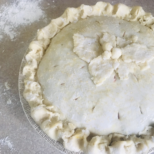 Saskatoon (Serviceberry) Rhubarb Pie