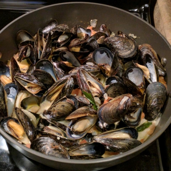 Steamed Mussels with Fennel, Tomatoes, Ouzo, and Cream