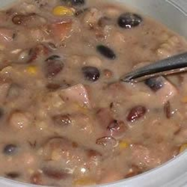 Sixteen Bean Sour Cream Soup