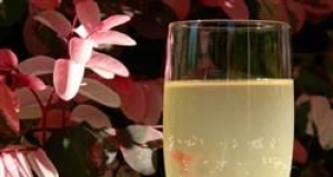 Mormon Champagne
