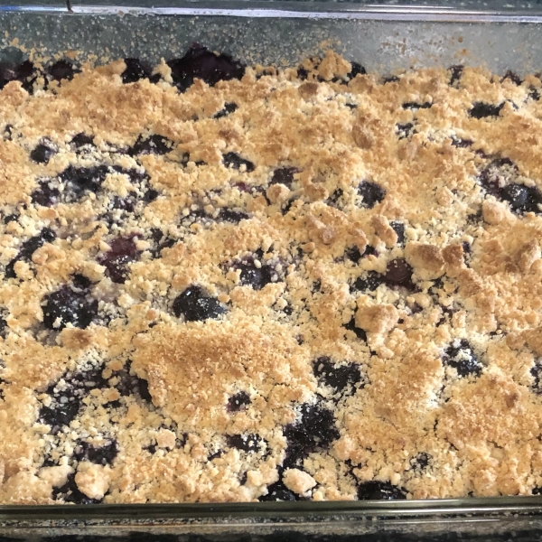 Blueberry Crumb Bars