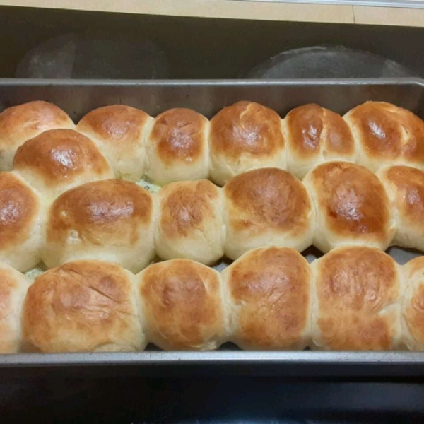 Angie's Perfect Dinner Rolls