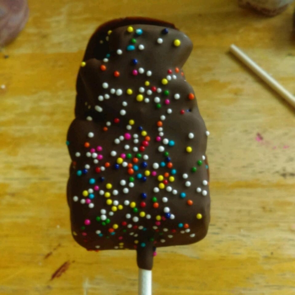 Instant Chocolate Covered Bunnies (On a Stick)