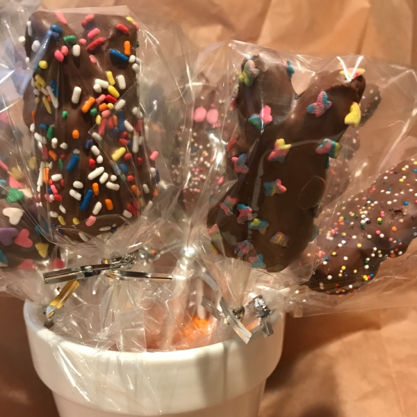 Instant Chocolate Covered Bunnies (On a Stick)