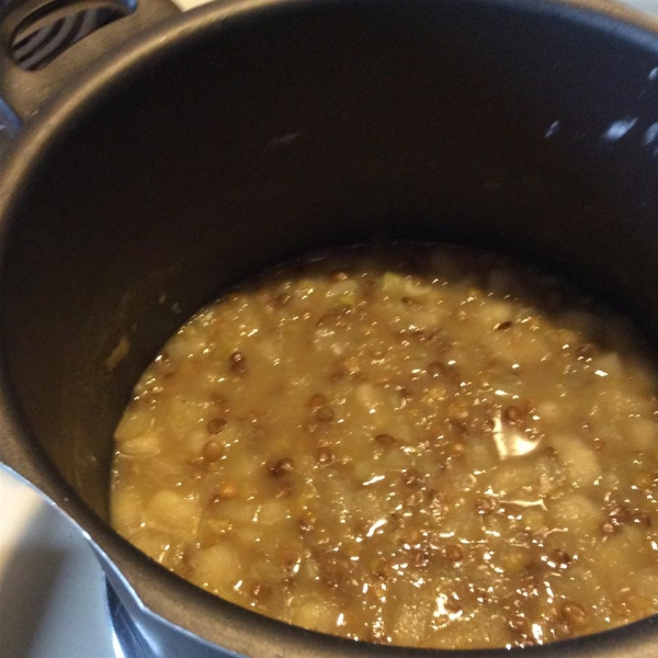 Apple and Lentil Soup