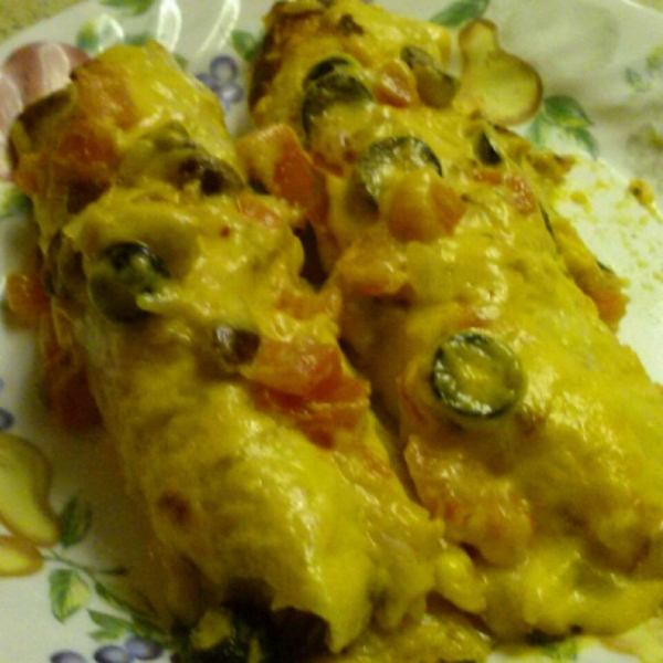 Mild Cheesy Chicken Enchiladas