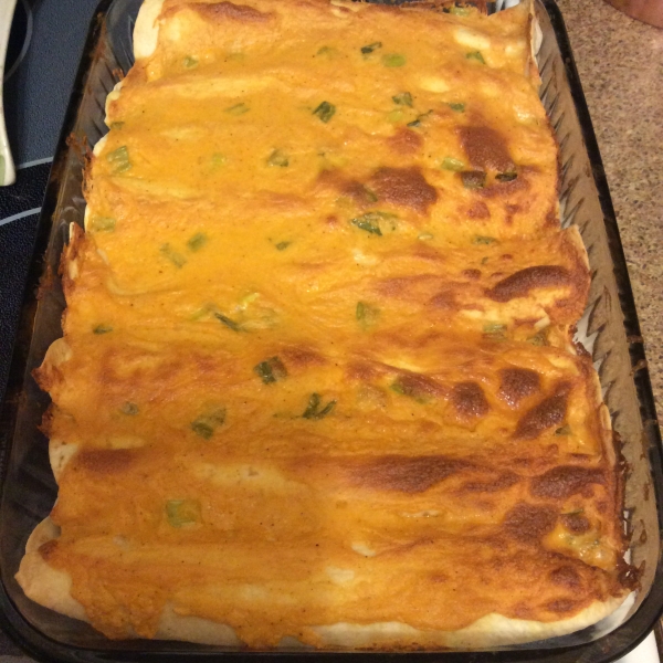 Mild Cheesy Chicken Enchiladas