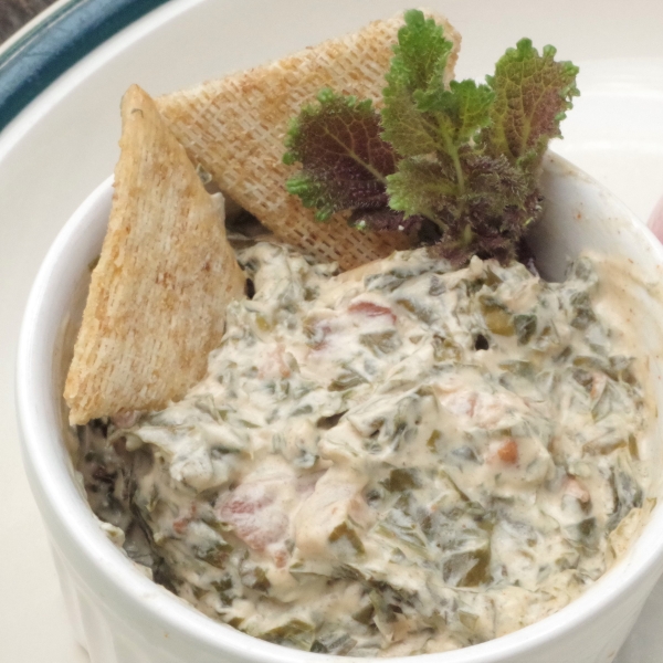 Savory Turnip Dip