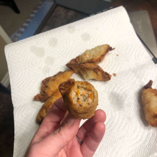 Grandma's Crispy Pork Wontons