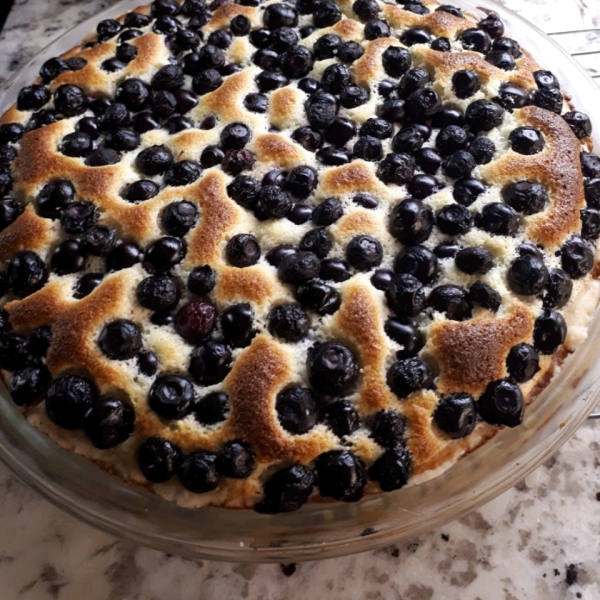 Lemon Blueberry Custard Pie